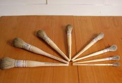 Polishing Mops